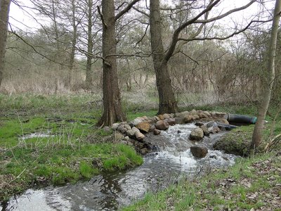 Naturschutzgebiet Nonnenhof, Mecklenburg-Vorpommern. Camera location53° 27′ 19.66″ N, 13° 07′ 57.61″ E View this and other nearby images on: OpenStreetMap 53.455460; 13.132670