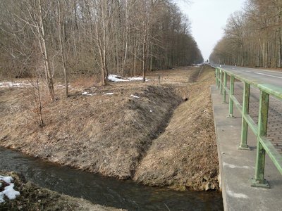 Naturschutzgebiet Abtshagen, Mecklenburg-Vorpommern. Camera location54° 12′ 05.88″ N, 13° 00′ 37.94″ E View this and other nearby images on: OpenStreetMap 54.201633; 13.010540