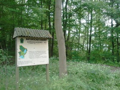 Blick in das Naturschutzgebiet Ahrenshagener See