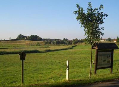 Blick von Osten auf das Naturschutzgebiet Binnensalzwiese bei Sülten.