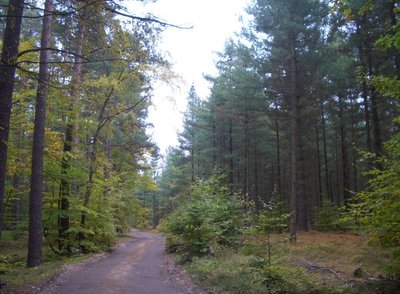 Naturschutzgebiet Comthureyer Berg