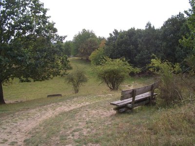 Naturschutzgebiet Hauptmannsberg (Mecklenburg-Vorpommern).