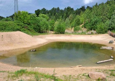 Naturschutzgebiet Kiesgrube Wüstmark, Schwerin, Mecklenburg-Vorpommern.
