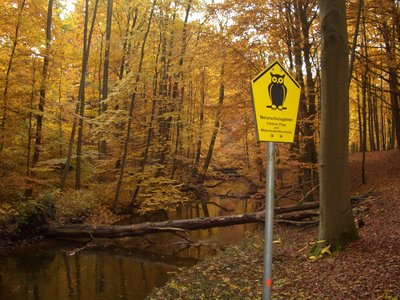 Naturschutzgebiet Klädener Plage und Mildenitz-Durchbruchstal, Mecklenburg-Vorpommern.