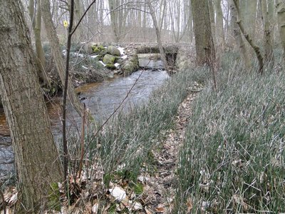 Blick in das Naturschutzgebiet Reppeliner Bachtal, Mecklenburg-Vorpommern. Camera location54° 04′ 00.16″ N, 12° 27′ 14.76″ E View this and other nearby images on: OpenStreetMap 54.066710; 12.454100