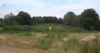 Brooksee, südlich Brookhusen (Mecklenburg-Vorpommern, Deutschland). Blick von Osten.