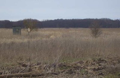 Blick in das Naturschutzgebiet Zehlendorfer Moor von Westen.