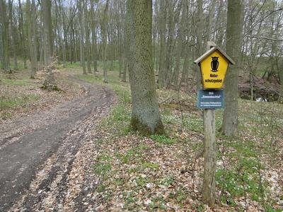 Naturschutzgebiet Ziemenbachtal, Mecklenburg-Vorpommern.