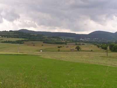 Naturschutzgebiet Nuhnewiesen östlich von Hallenberg von Osten aufgenommen. Im Bildhintergrund die Kirche von Hallenberg.