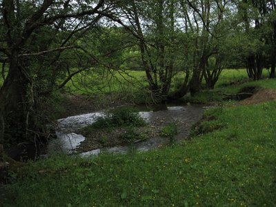 Orke im Naturschutzgebiet Winterberger Orketalsystem
