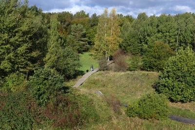 Ober-Olmer-Wald: Blick vom "Hügel der Freundschaft"