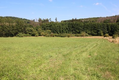 Naturschutzgebiet Stelzenbachwiesen, Oberelbert, Westerwald, Rheinland-Pfalz