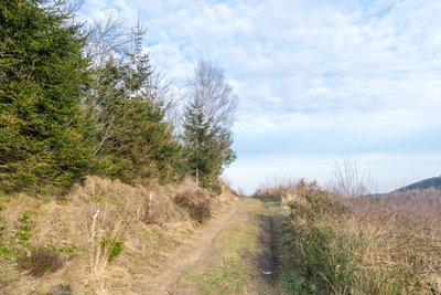 Naturschutzgebiet Tönsberg, Oerlinghausen, Kreis Lippe