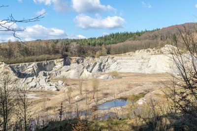 Naturschutzgebiet "Steinbruch am Barkhauser Berg", Oerlinghausen, Kreis Lippe