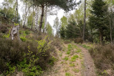 Weg um den Tönsberg in Oerlinghausen