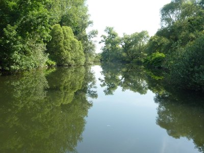 Rheinaue südwestlich der Ortschaft Helmlingen