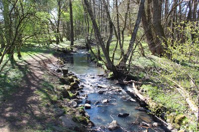 Seebachtal nature reserve (2022)