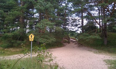 Nature reserve "Steinfelder in der Schmalen Heide und Erweiterung" (coastal dune) near Prora, district Vorpommern-Rügen, Mecklenburg-Vorpommern, Germany