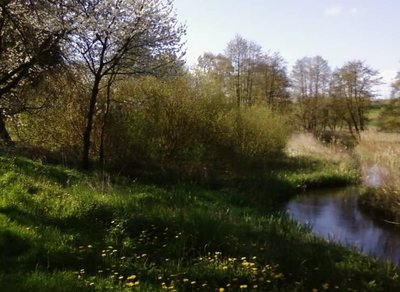 Radegast bei Holdorf.