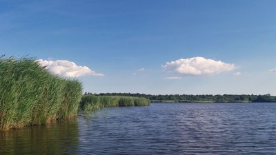 Der Radelsee vor Markgrafenheide