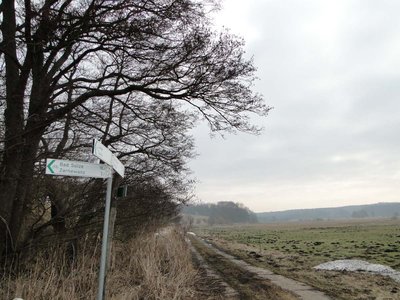 Blick in das Naturschutzgebiet Recknitzwiesen, Mecklenburg-Vorpommern.