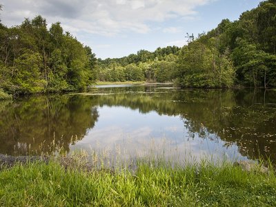 Rosenheimer Lay nature reserve, Rhineland-Palatinate, Germany