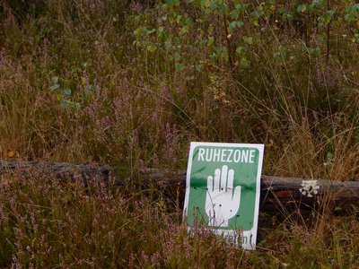 sign saying calm zone in the heath in Germany, Drove