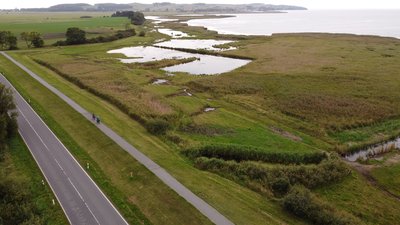 Salzwiesen bei Middelhagen, Teilgebiet des Naturschutzgebietes Mönchgut im Landkreis Vorpommern-Rügen