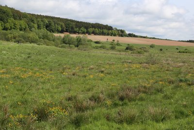 Naturschutzgebiet „Sangweiher“ (NSG 7233-042)