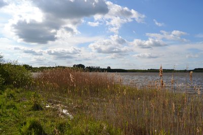 NSG Santower See (Südufer)