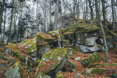 Wollsackformationen bei Sattelpeilnstein