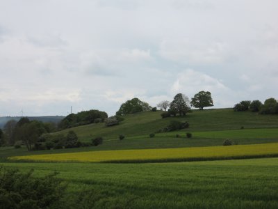 Das Naturschutzgebiet Schaaken von Südosten aufgenommen. Zum NSG gehören die Flächen am Hang.