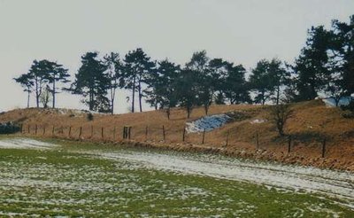 Naturschutzgebiet Schanzberge bei Brietzig in Mecklenburg-Vorpommern.