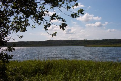 Rügen: Schmachter See bei Binz