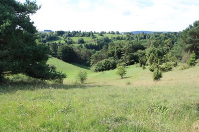 Blick ins Aubachtal, August 2017