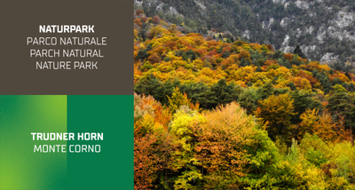 Mixed deciduous forest