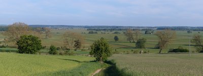 Blick vom Kückelsberg über das Thurbruch