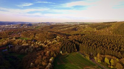 Trier - Naturschutzgebiet und FFH Gebiet Mattheiser Wald - Blick von Süden, etwa vom Haus Kobenbach auf das Naturschutzgebiet (südliche 2/3)