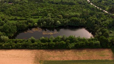 Naturschutzgebiet Kiesgrube bei Oberkirch