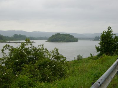 Blick rheinaufwärts vom Urmitzer Ufer (Landkreis Mayen-Koblenz) zur Rheininsel Urmitzer Werth in Neuwied (Landkreis Neuwied), Rheinland-Pfalz; der Bereich der Insel bis zum Ufer am linken Bildrand...