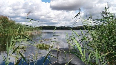 Der Mickowsee am Oberlauf der Warnow