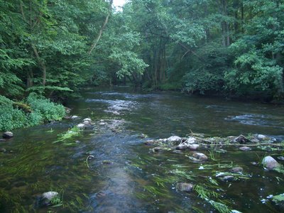 Naturschutzgebiet Durchbruchstal der Warnow und Mildenitz