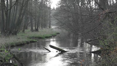 Naturschutzgebiet „Warnowtal bei Karnin“ (NSG N 123)