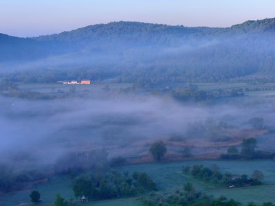 Wawerner Bruch: Wetland biotope zone with reedbeds, tall sedge reeds and wet tall herbaceous meadows as well as a section of a silted-up Saar meander