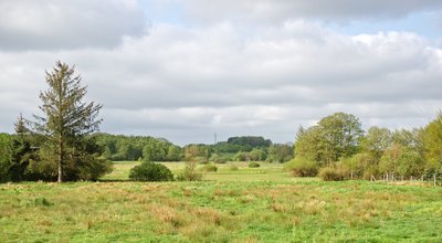 Naturschutzgebiet „Weidenbruch“ bei Elkenroth, Rheinland-Pfalz