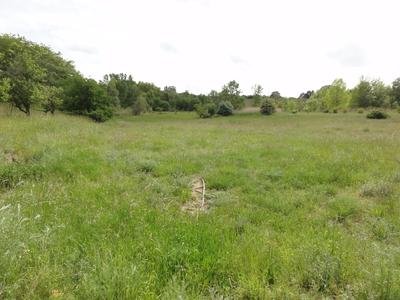 (NSG:RP-339081)_Sandgrube am Weilersberg