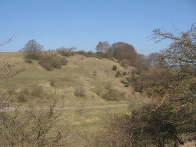 Teilfläche Weinberg im NSG Glockengrund von der südlichen Talseite des NSG aufgenommen.