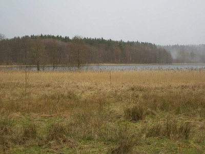 Blick auf den Weutschsee (bei Mechow), Mecklenburg-Vorpommern.