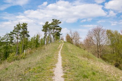 Naturschutzgebiet Kalktriften Willebadessen, Willebadessen, Kreis Höxter