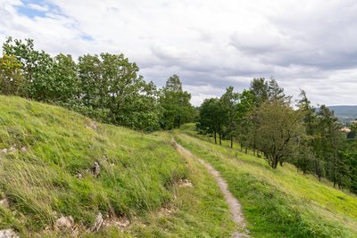 Naturschutzgebiet Kalktriften Willebadessen, Kreis Höxter, an einem windigen Tag im September 2017